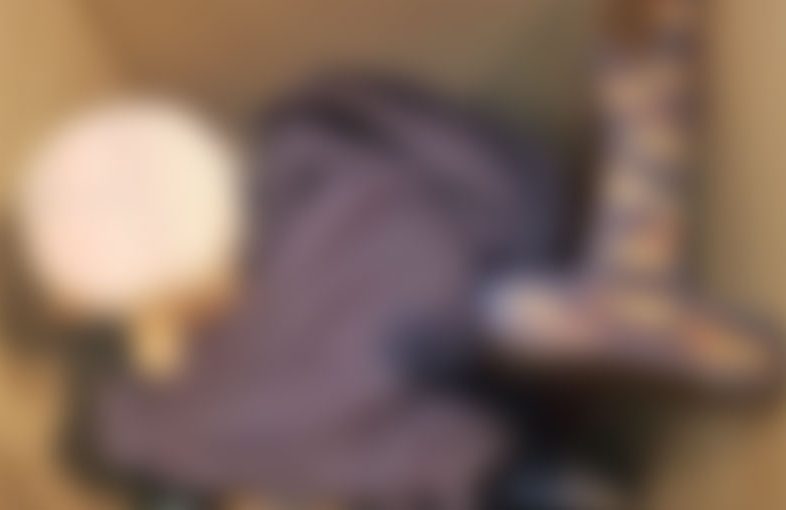 2025年8月19日掲載 神奈川県 女性から、鎧1領を出張買取